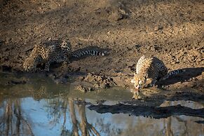 Karongwe Portfolio - Chisomo Safari Camp
