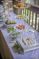 Karongwe Portfolio - Chisomo Safari Camp