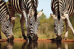 Karongwe - River Safari Lodge
