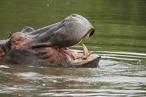 Karongwe Portfolio - Karongwe River Lodge