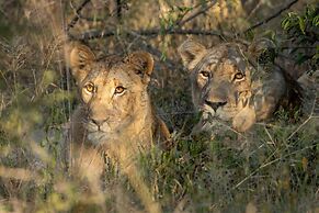 Karongwe - River Safari Lodge