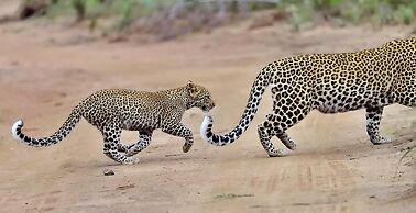 Karongwe - River Safari Lodge