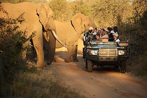 Karongwe Portfolio - Karongwe River Lodge