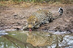 Karongwe - River Safari Lodge