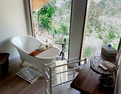 Karongwe Portfolio - Karongwe River Lodge