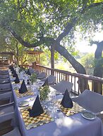 Karongwe Portfolio - Karongwe River Lodge