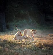 Karongwe - River Safari Lodge