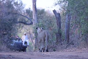 Karongwe Portfolio - Karongwe River Lodge