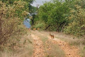 Karongwe - River Safari Lodge