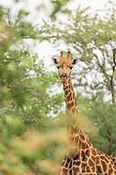 Karongwe - River Safari Lodge
