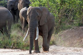 Karongwe - River Safari Lodge