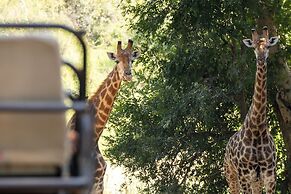 Karongwe - River Safari Lodge