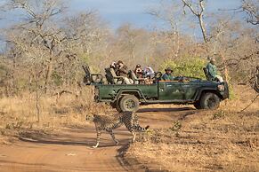 Karongwe Portfolio - Karongwe River Lodge