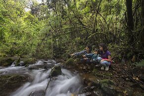 Dantica Cloud Forest Lodge