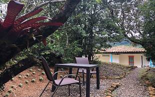 Dantica Cloud Forest Lodge