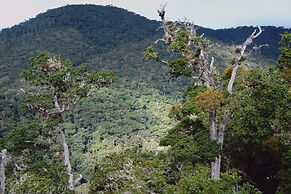 Dantica Cloud Forest Lodge