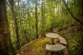 Dantica Cloud Forest Lodge