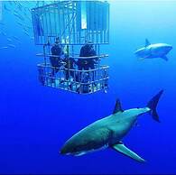 Atlanticview Cape Town Boutique Hotel