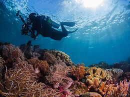 Turtle Bay Dive Resort