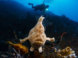 Turtle Bay Dive Resort