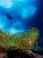 Turtle Bay Dive Resort