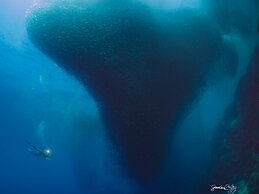 Turtle Bay Dive Resort