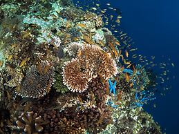 Turtle Bay Dive Resort