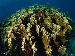 Turtle Bay Dive Resort