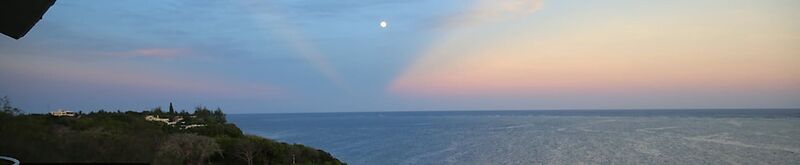 Cowrie Shell Beach Apartments