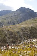 Blue Gum Country Estate