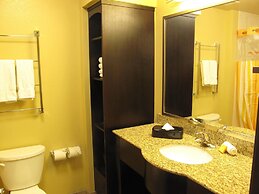 Holiday Inn Express Hotel & Suites Denver East-Peoria Street by IHG
