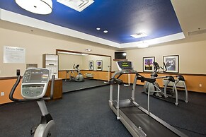 Holiday Inn Express Hotel & Suites Denver East-Peoria Street by IHG