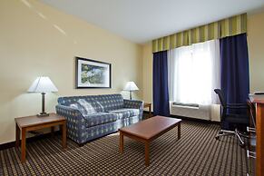 Holiday Inn Express Hotel & Suites Denver East-Peoria Street by IHG