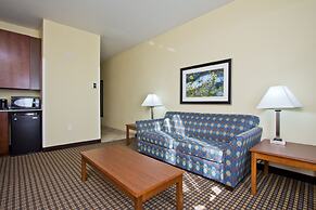 Holiday Inn Express Hotel & Suites Denver East-Peoria Street by IHG