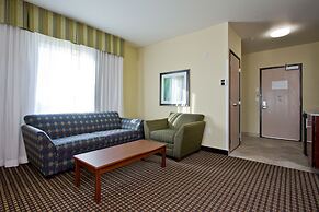 Holiday Inn Express Hotel & Suites Denver East-Peoria Street by IHG