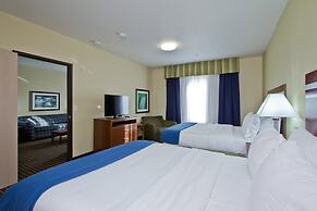 Holiday Inn Express Hotel & Suites Denver East-Peoria Street by IHG