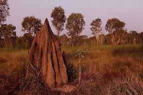 Wildman Wilderness Lodge