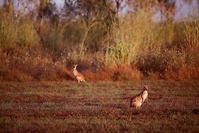 Wildman Wilderness Lodge