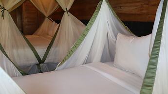 Hotel On Vacation Amazon