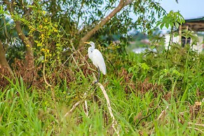 Hotel On Vacation Amazon