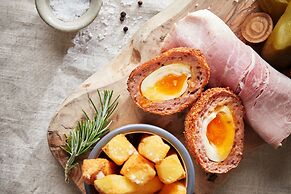 The Plume of Feathers