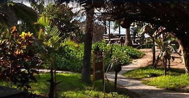 El Alquimista Yoga & Spa