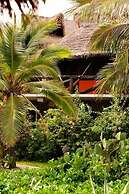 El Alquimista Yoga & Spa