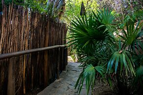 El Alquimista Yoga & Spa