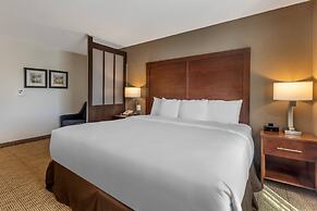 Comfort Inn & Suites Aztec - Farmington Area