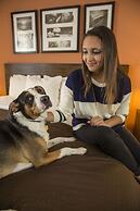 Sleep Inn & Suites Austin Northeast