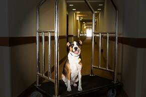 Sleep Inn & Suites Austin Northeast