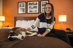 Sleep Inn & Suites Austin Northeast