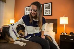 Sleep Inn & Suites Austin Northeast