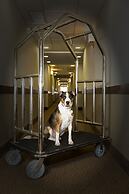 Sleep Inn & Suites Austin Northeast